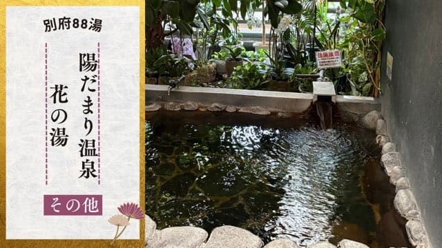 陽だまり温泉花の湯