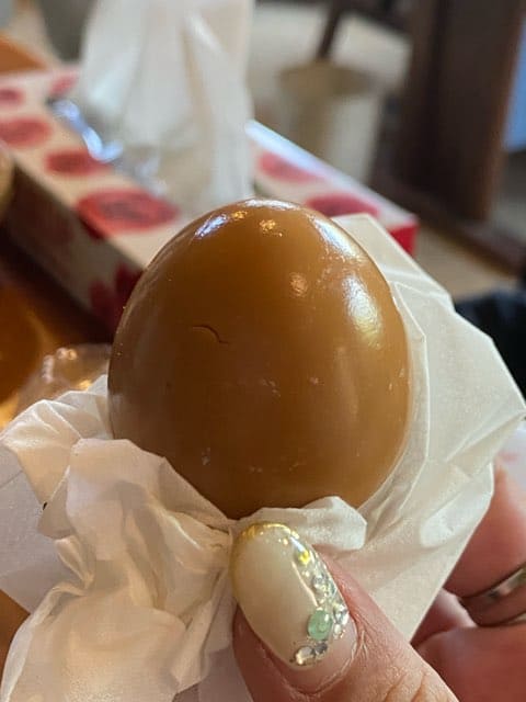 奥みょうばん山荘