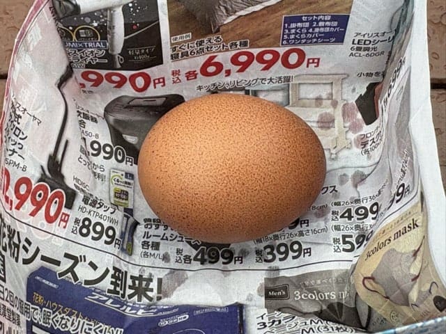 明礬地獄岡本屋