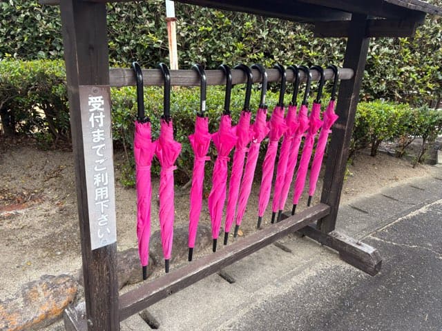 絶景の宿さくら亭