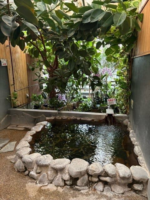 陽だまり温泉花の湯