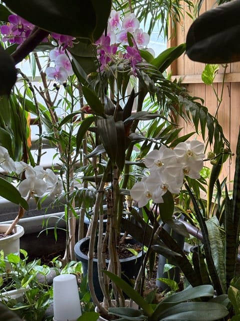 陽だまり温泉花の湯