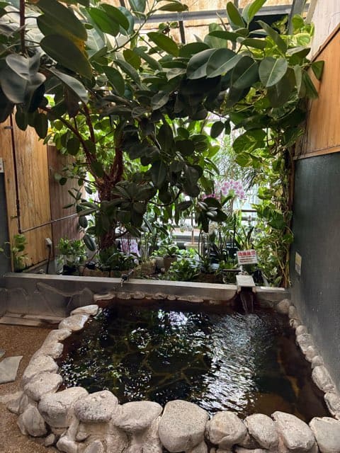 陽だまり温泉花の湯