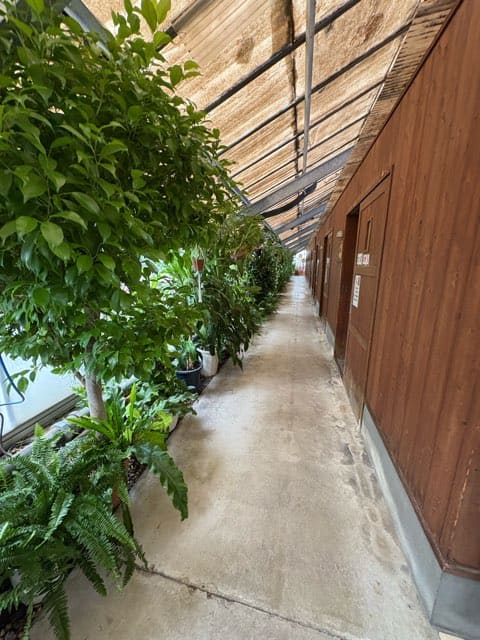 陽だまり温泉花の湯