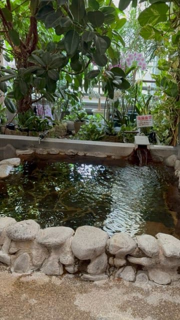 陽だまり温泉花の湯