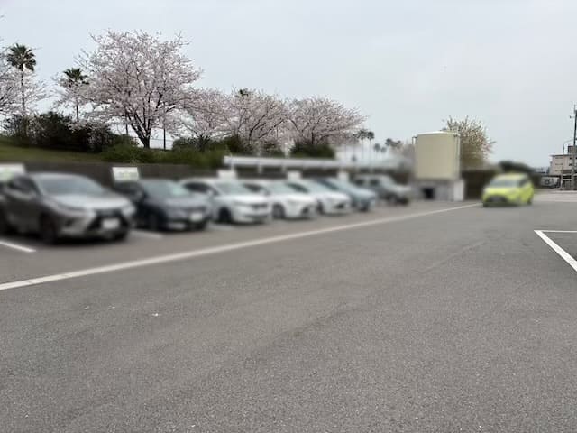 亀川マリーナの湯