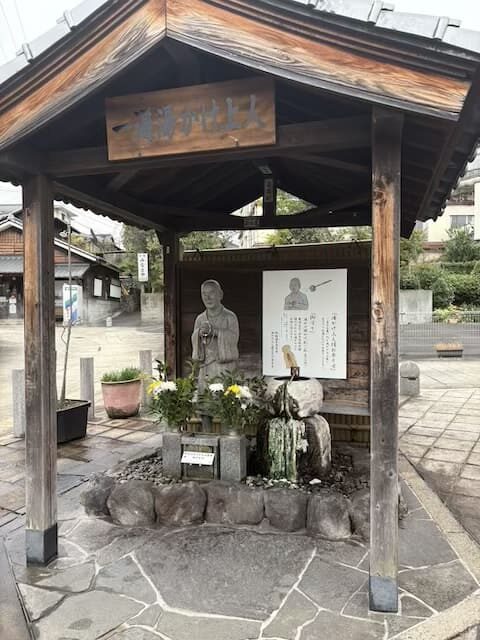 むし湯ポケットパーク