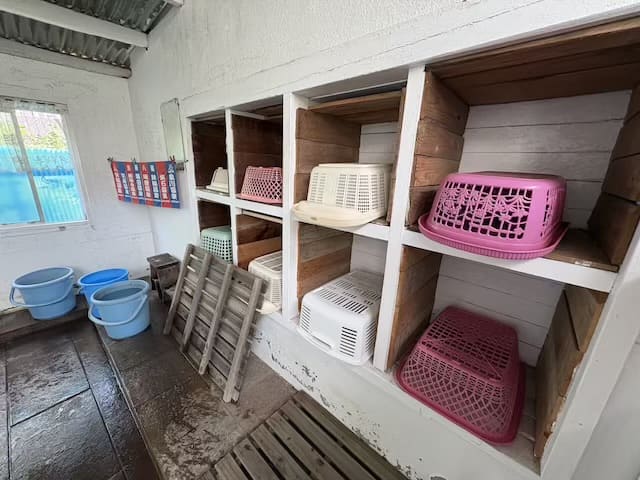 長泉寺薬師湯