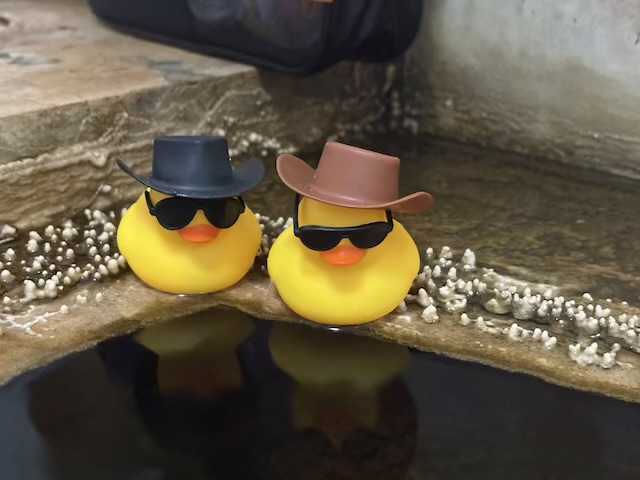 ちとせ