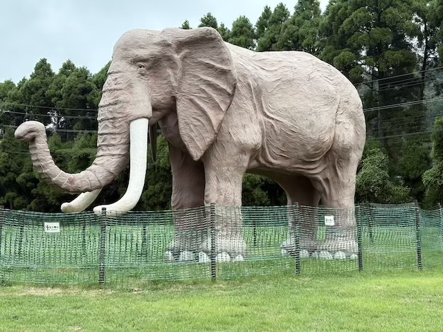 アフリカンサファリ