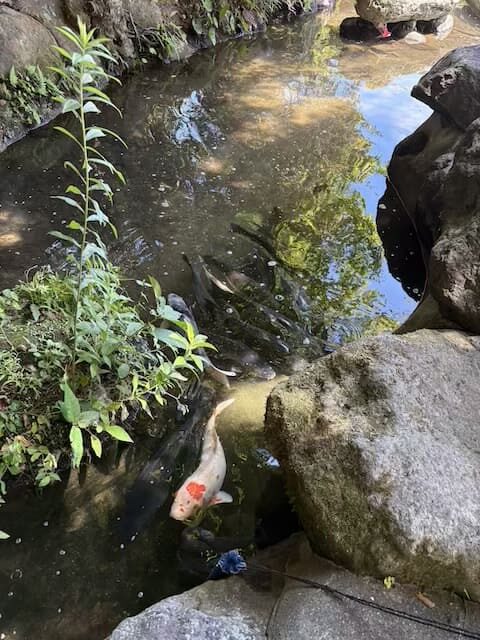 血の池地獄